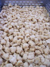 Bulk Maple Candy